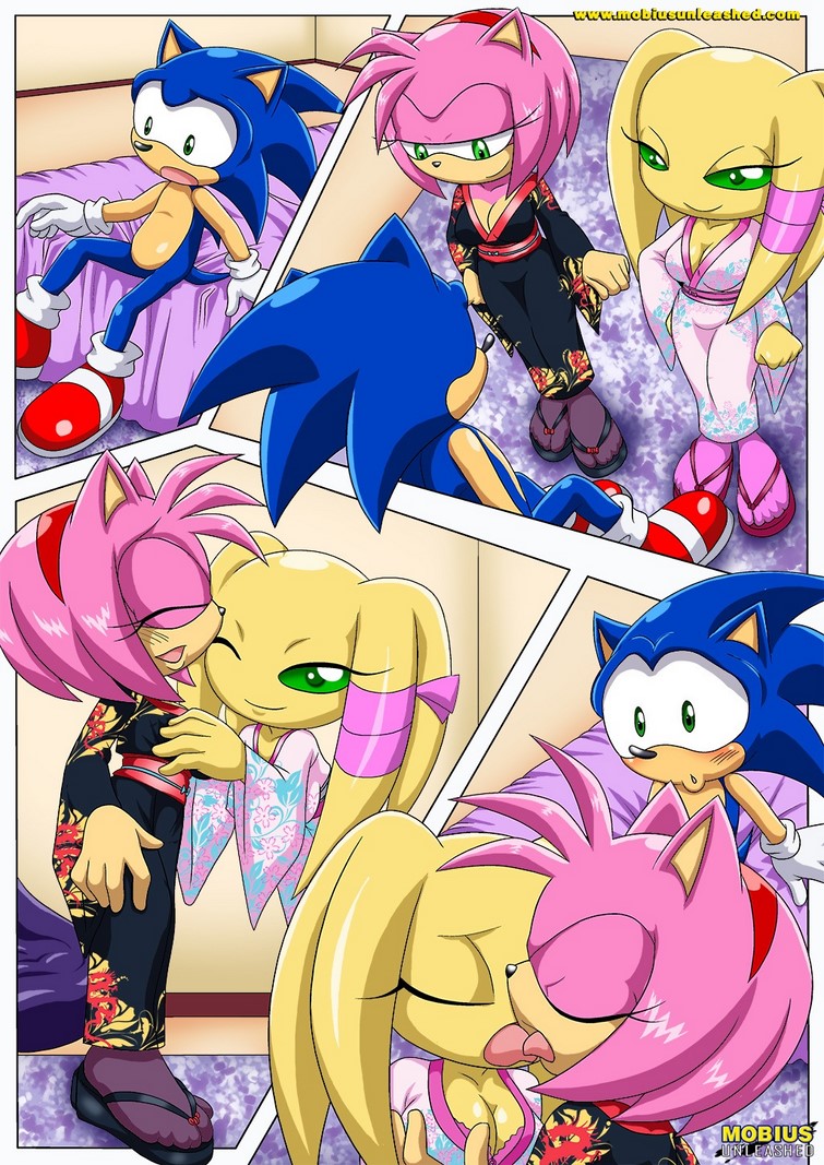 Sonic Comic xxx Follando Rapido -comics-xxx-hentai-sexo-follando-anime-porno-historietas-corridas-folladas-dibujitos-desnudos-cachando (6)