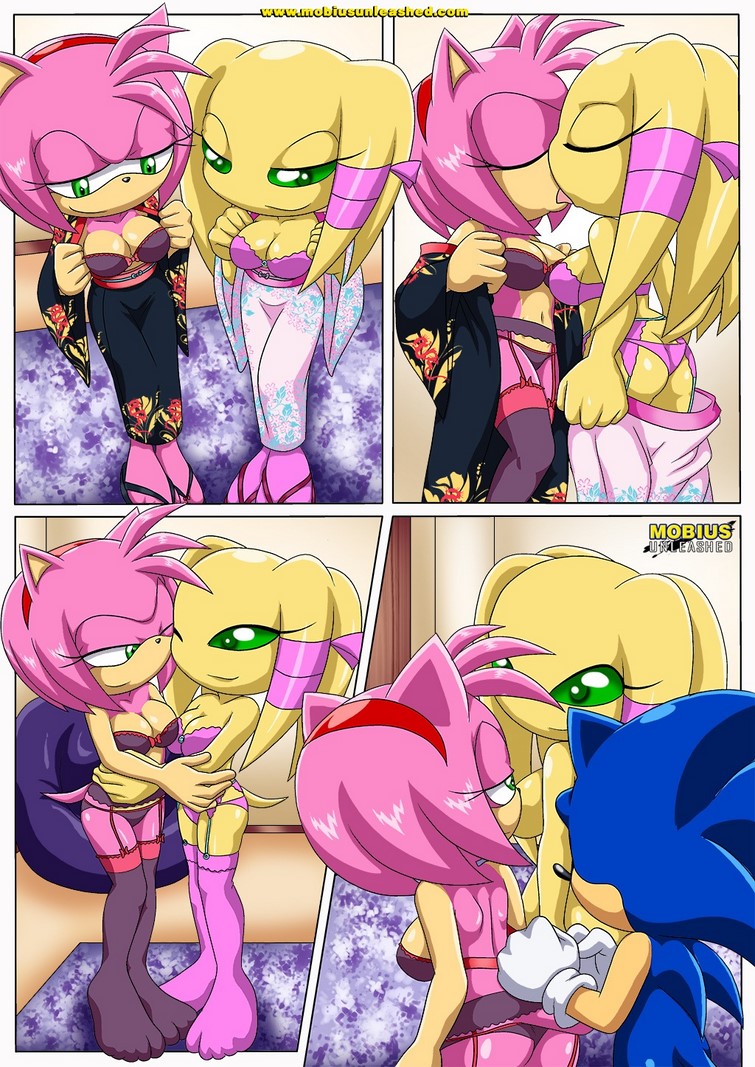 Sonic Comic xxx Follando Rapido -comics-xxx-hentai-sexo-follando-anime-porno-historietas-corridas-folladas-dibujitos-desnudos-cachando (7)